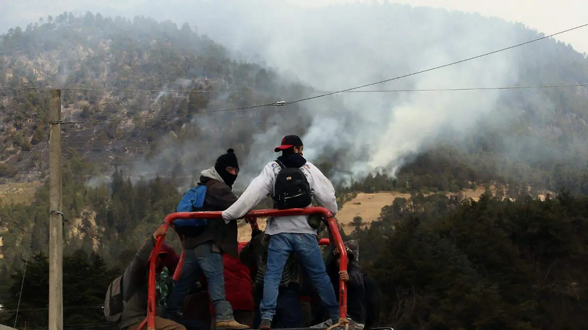 Temporada de incendios deja más de 18 mil hectáreas de bosques incineradas